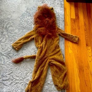 4t Lion costume